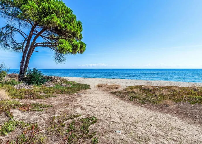 Volpajola By Interhome * Cervione